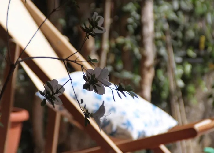 Πανσιόν Clelia 3*