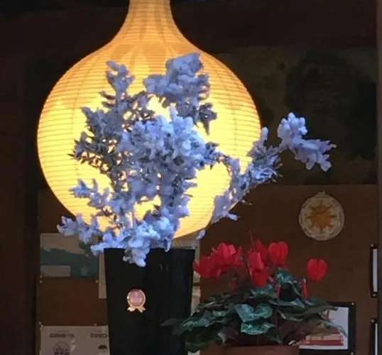 Clelia Πανσιόν